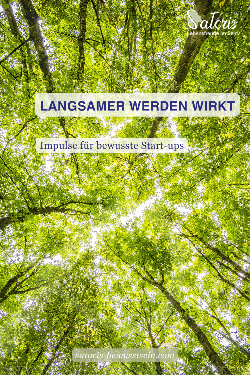 Lichte Baumkronen, lichtvoller Wald. Langsamer werden wirkt.