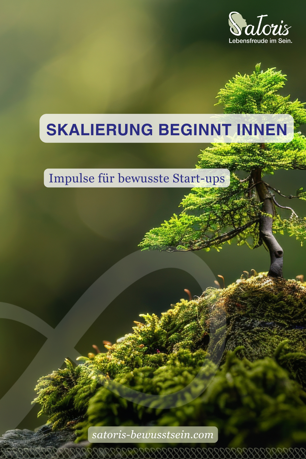 Mini-Bäumchen-Baum, Bonsai, grünes Licht, Wald, Ruhe, Start-up_Skalierung, Wirkung