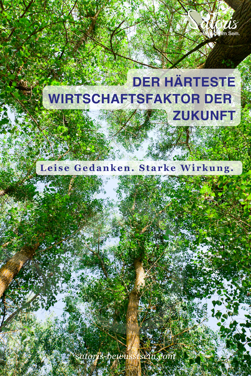 Baumkronen, Wald, hell, Satoris, Start-up