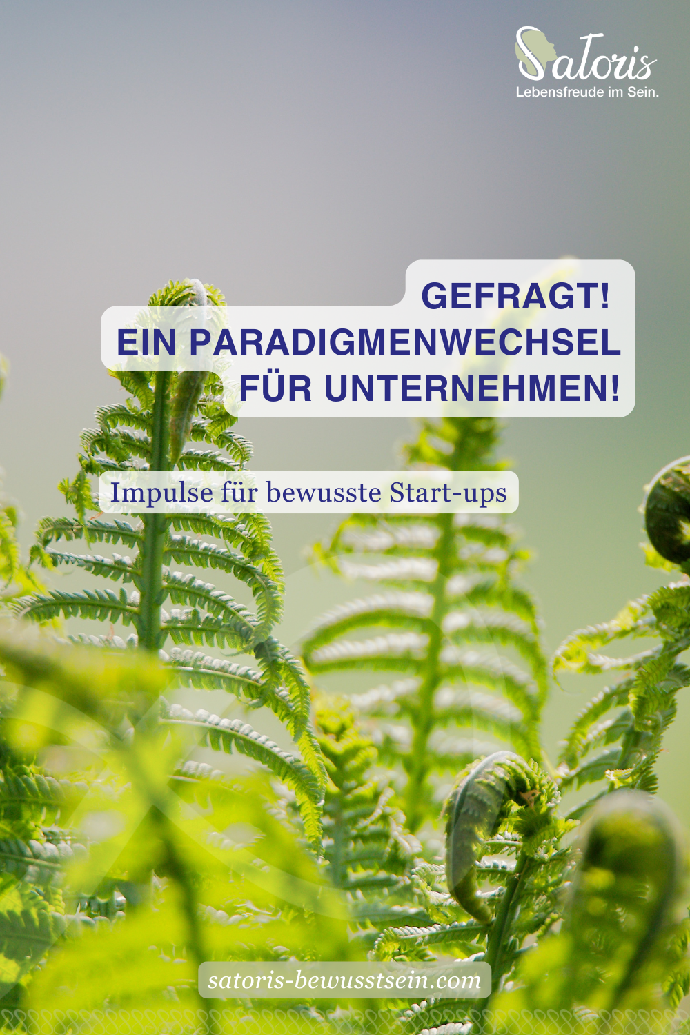 Mindset und Paradigmenwechsel im Unternehmertum – warum nachhaltiger Erfolg für Start-ups und Führungskräfte erst entsteht, wenn sich tief verankerte Denkweisen verändern und bewusstes Handeln möglich wird.