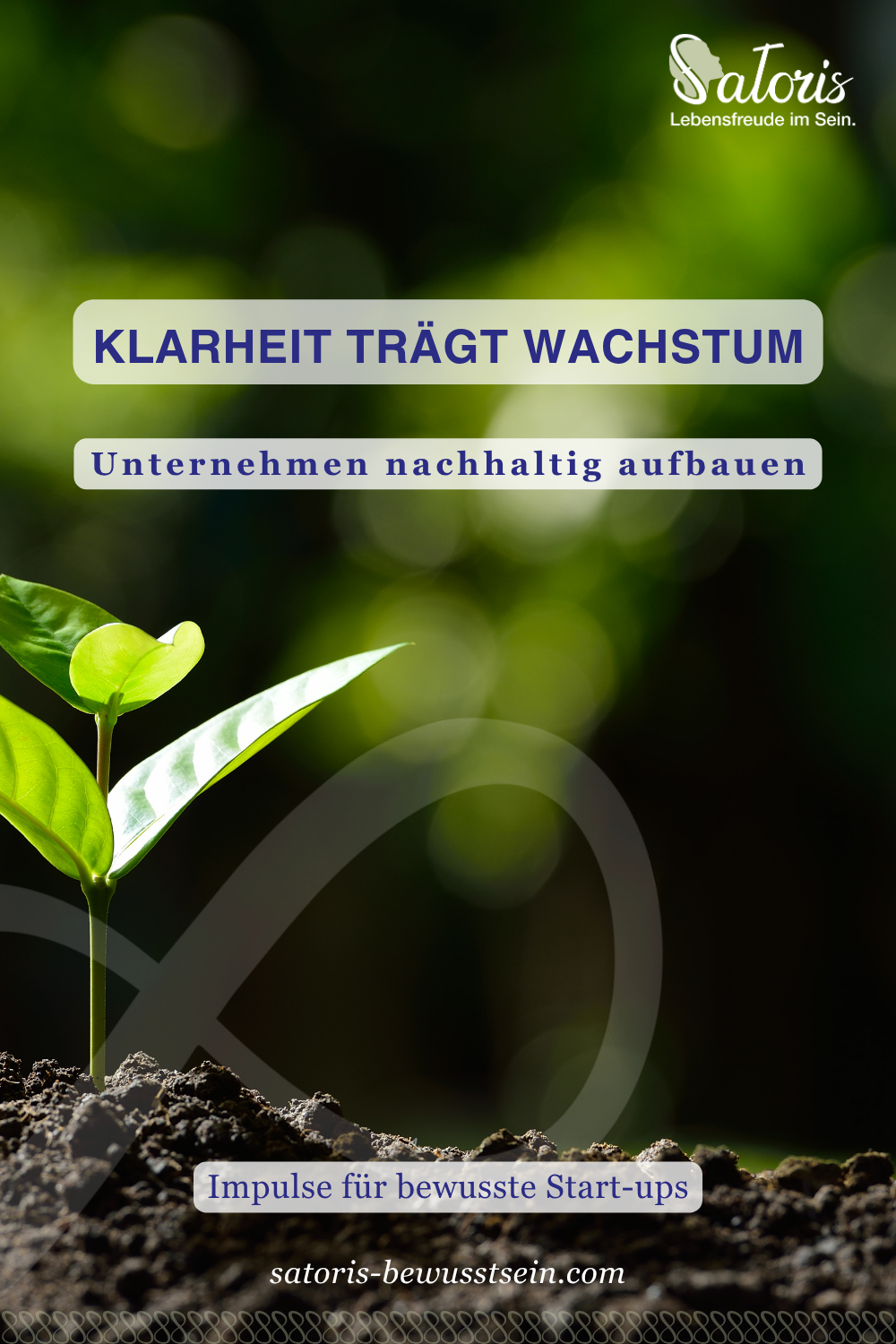 Junger Spross, grün, aufstrebendes Leben, Lebendigkeit, Wald, Wachstum