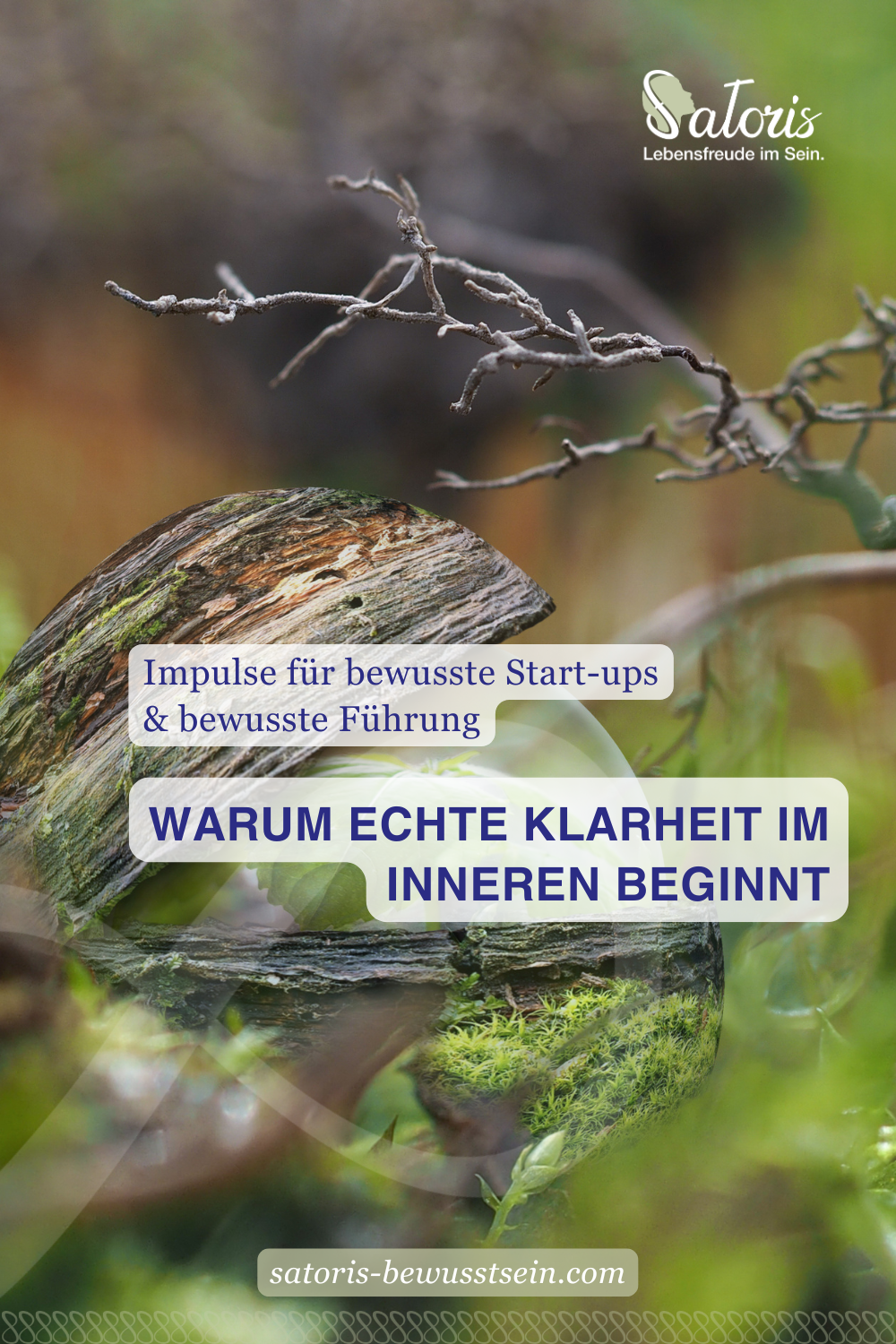 Moosbewachsener Waldboden mit starken Baumwurzeln im weichen Licht – Sinnbild für innere Klarheit, Erdung und bewusste Orientierung.