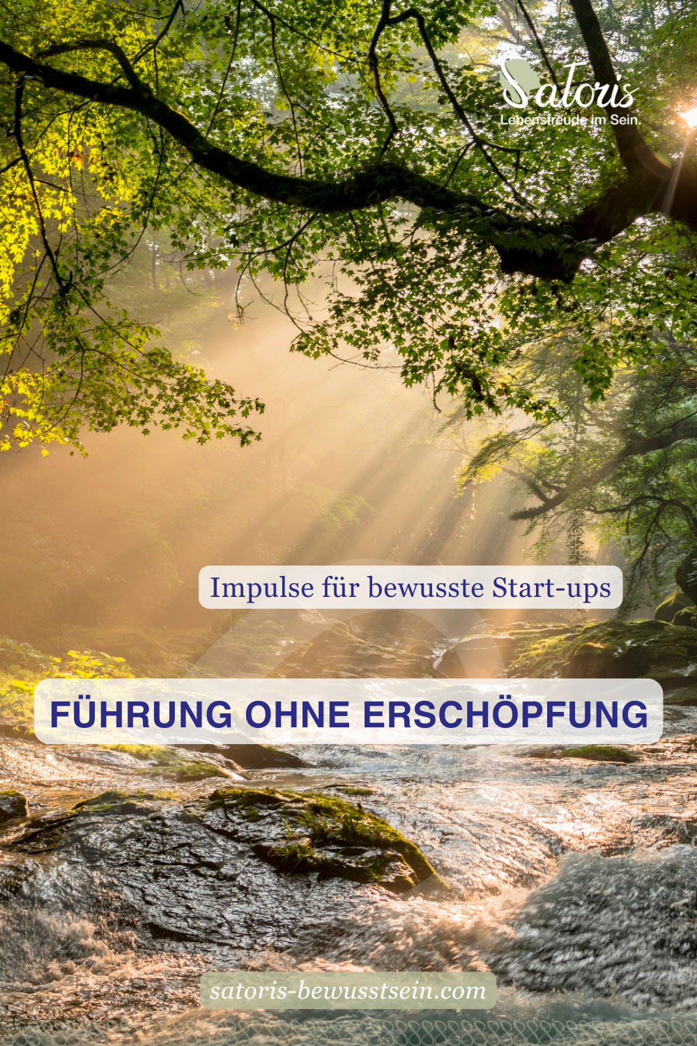 Ein klarer, sprudelnder Bach im Sonnenlicht fließt durch einen Wald, umgeben von grüner Vegetation. Sonnenstrahlen brechen durch die Bäume, während ein belaubter Ast das obere Bilddrittel rahmt.