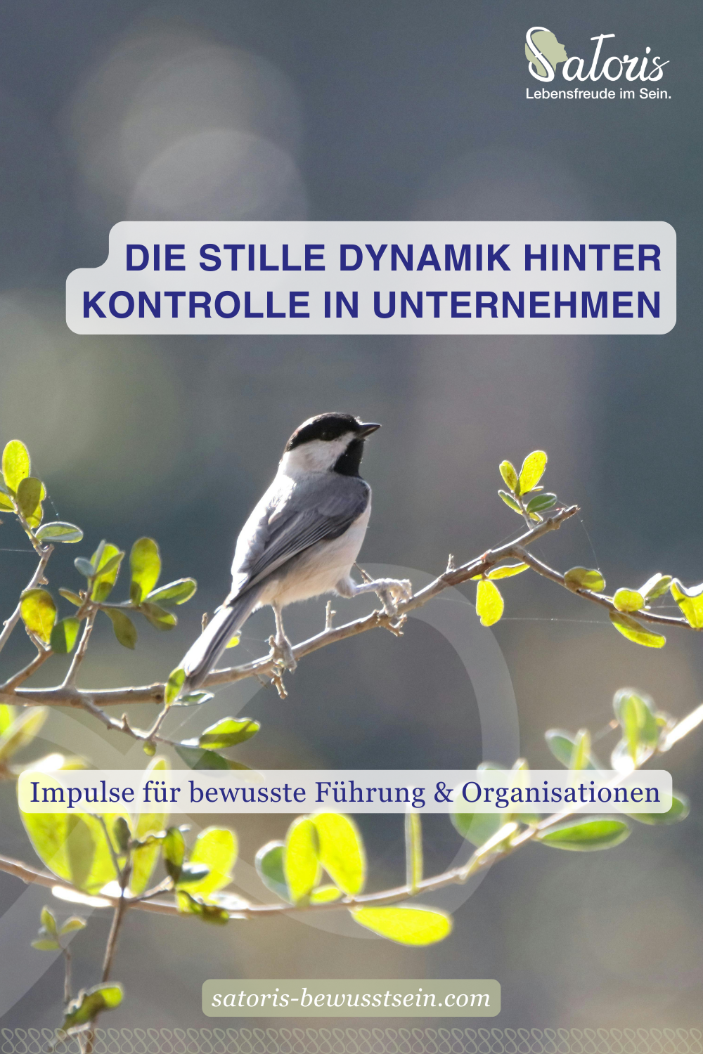 Ein Vogel sitzt ruhig auf einem dünnen Zweig mit grünen Blättern und blickt in eine natürliche, friedliche Umgebung.