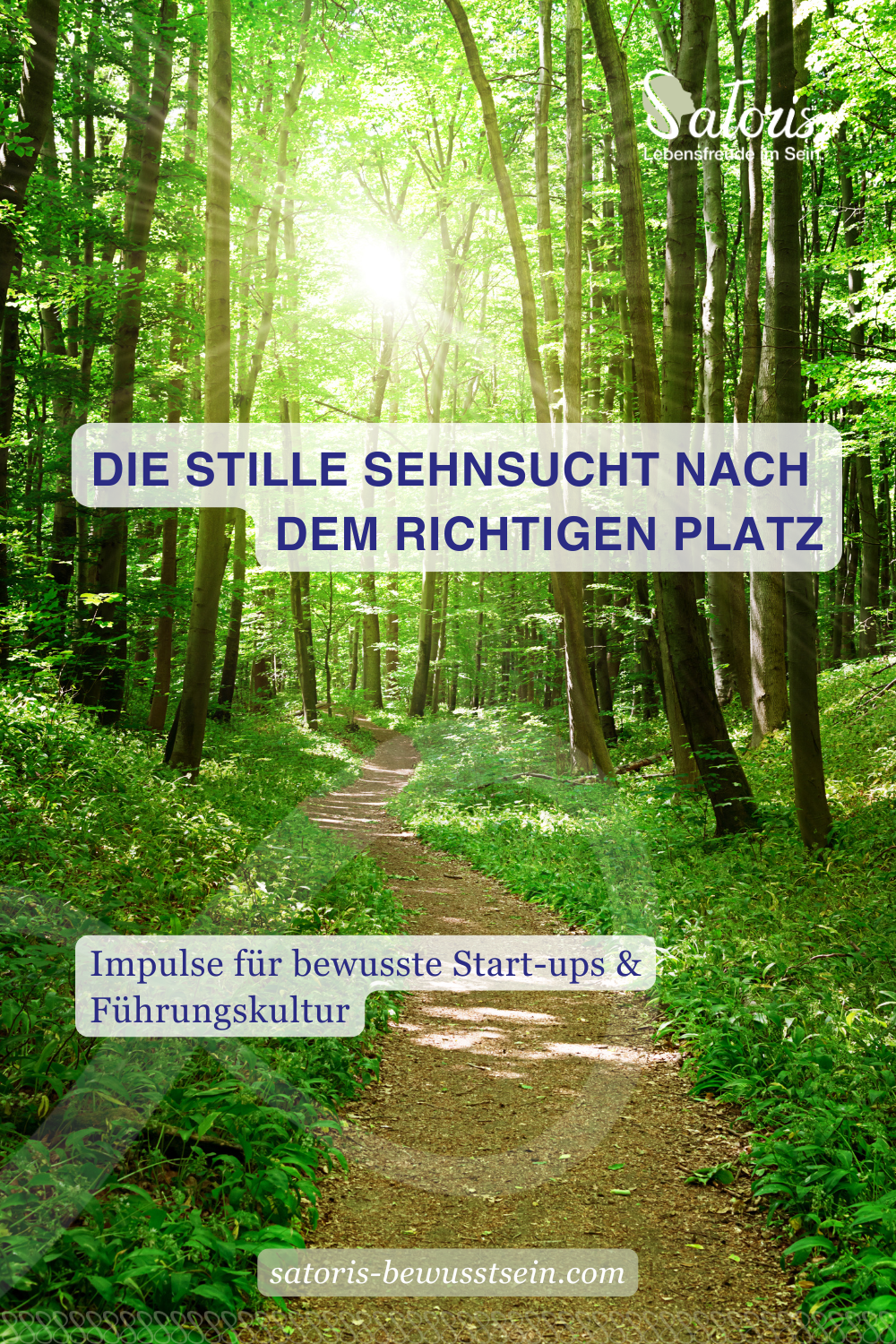 Sonnenlicht fällt durch das Blätterdach eines lichten Waldes auf einen ruhigen Waldweg. Die natürliche Szenerie vermittelt Orientierung, Weite und die Einladung, den eigenen Weg bewusst zu gehen.